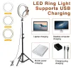 360 Selfie Stick Circle Licht LED -ring Licht 10 "voor live stream/make -up/video Dimable Beauty Ringlight met statief staan ​​26 cm ringlighting fotografische lichten