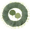 Dekorative Blumen, 50 Stück, künstliche Eukalyptusblätter, grüne Pflanzenzweige, falsche runde Dekoration, Simulation