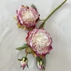 Decorative Flowers Silk Fake Artificial Peony Home Bedroom Floral Decoration Blue Rose Red Simulation Flower Burnt Edge Peonys Branches