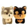 Plüschpuppen Kawaii Ferry Welpe Hundespielzeug Gefüllter Corgi Tibetischer Mastiff Husky Yorkshire Shiba Inu Chow Bichon Fris Hunde für Kinder 230303