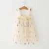 Meisjesjurken 2023 Zomer kinderen meisjes voor baby casual bloemen tutu prinses jurk baby verjaardagsfeestje geboren kleding 1-6y