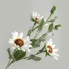 Fiori decorativi Pianta simulata Callirhoe Involucrate Girasole Alberi artificiali Bonsai Varietà casuale senza vaso di fiori