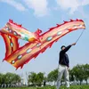 200 Styles Festival Party Performance Chinese Dragon Body Dance Prop Set med Pole Fitness Dragon Ribbon Customized Event Celebration