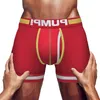 Underbyxor mäns trosor mesh sexig boxare män shorts bomull man underkläder manliga boxare boxershorts