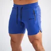 Men's Shorts M-2XL Men Summer Casual Mesh Brand Board 2023 Gym Solid Breathable Elastic Waist Fashion Short