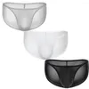 Underbyxor 3st/Lot Sexiga herrbyxor underkläder Mini Bikini Transparent Low Rise Male Slip Homme trosor BULGE POUC