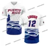 Puerto Rico 2023 WBC WBC Custom Men Baseball Jersey World Baseball Classic Jose Berrios Edwin Diaz Lugo Marcus Stroman Javier Baez Carlos Correa Francisco Lindor Ety