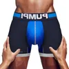 Underbyxor mäns trosor mesh sexig boxare män shorts bomull man underkläder manliga boxare boxershorts