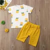 衣料品セット2023幼児の男の子の服セットサマーキッズパイナップル衣装半袖Tシャツショーツ幼児2PCS 6M-4T