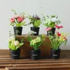 Decorative Flowers Lovely Artificial Plants With Pot Simulation Mini Bonsai Potted Placed Green Fake Home Decoration Accessories