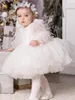 Robes de fille belle couche bouffante fleur Illusion manches longues première Communion Tulle volants robe de bal robe d'anniversaire