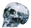 Figurines décoratives belles 5.0 crânes d'agate de mousse verte cristaux sculptés à la main pierres de guérison naturelles pour les cadeaux d'artisanat en cristal