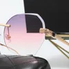 النظارات الشمسية الساخنة النظارات الشمسية 18x24 الإطار نظارة شمسية للنساء نظارات شمسية للرجال Cat Eye Secrasses 2558 Factory Direct Sales Multi-Color اختياري مع Box