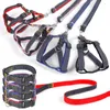 Colliers pour chiens 2 pièces harnais réglable laisse Denim épais résistant à l'usure sangle de poitrine ensemble chiens chiot Traction corde accessoires pour animaux de compagnie