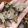 20g äkta kinesisk Ganan Kinam rökelse inte sjunker Kynam Oud Träflis Rik olja Naturlig japansk arom doftar starka dofter