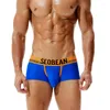 Underpants SEOBEAN Sexy Men's Underwear Boxer Shorts Breathable Mesh Trunk Chinese Style Solid For Man