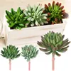 Dekorativa blommor Office Landscape Desktop Ornament Home Decoration Artificial Bergamot Lotus Livselike Plants Simulation Succulents