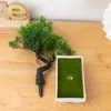 Dekorativa blommor krysantemum Small Bonsai Artificial Plant Plastic Fake Tree Home Living Room Balkong Decoration Potted Gardening