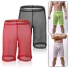 Underpants Mens Sexy Mesh Pants Boxer Shorts Ultra-thin Transparent Loose Lounge Sheer Trunks Party Underwear Men Panties