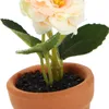 Decoratieve bloemen 2 pc's Tiny Bonsai Miniature Flower Pot Model Planten Huis Gesimuleerd Potted Home Decor