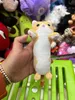 Neue 20 cm süße weiche lange Katze Plüsch Schlüsselanhänger Taschenanhänger Plüschtier Puppe für Kinder Mädchen