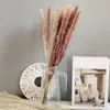 Decorative Flowers 1 Bouquet Excellent Reed No Wilting Lightweight Dried Flower Beautiful