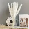 Fiori decorativi 1 bouquet Canna eccellente Nessun appassimento Fiore secco leggero Bello