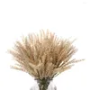 Fiori decorativi Fiore artificiale 44 cm Grano Grano pastorale Mais Piante fai da te per artigianato Decorazione di nozze per la casa Ornamenti Decorazione da parete