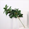 Flores decorativas Planta artificial de alto grau folhas filme de folhas de agrião Feel Green Home Decoration