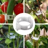 Garden Supplies Other 50pcs Invisible Wall Rattan Clamp Clip Plant Climbing Vines Fixture Sticky Hook Holder