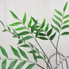 Fiori decorativi Piante artificiali 32 "Ramo lungo Eucalytus Rami verdi Arbusti finti Plastica Verde Casa Ufficio Decor