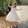 Girl Dresses Casual Summer Dress Girls Costume Lace Children Clothing Princess Champagne Party Flower Kids Clothes Wedding 1-5 Vestidos