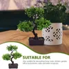 Decoratieve bloemen bonsai boom kunstmatige nep potten faux decor simulatie pot mini groen bomen realistische bloem binnen dennenfruit groen