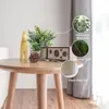 Flores decorativas pequenas plantas falsas Conjunto de 4 - Eucalyptus Rosemary suculenta artificial em vasos para decoração de casa interna