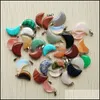 Charms Assorted Natural Stone Heart Star Moon Waterdrop Shape Point Chakra Agate Pendants For Necklace Earrrings Jewelry Making Drop Dhzxt