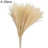 Decorative Flowers 1 Bouquet Excellent Reed No Wilting Lightweight Dried Flower Beautiful