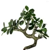 Decorative Flowers 25cm Artificial Banyan Leaves Branch Lifelike Plants Simulation Ficus Floral Arrangement Home Desktop Ornament Po Prop