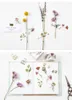 Presentförpackning 3cm 5m 1 st torr blomma Keep Love Forever Design Washi Tape Adhesive Diy Scrapbook Sticker Label Masking Home Decor