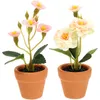 Decoratieve bloemen 2 pc's Tiny Bonsai Miniature Flower Pot Model Planten Huis Gesimuleerd Potted Home Decor