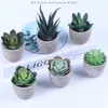 Dekoratif Çiçekler 6 PCS Arifik Succulents saksı bitkiler gerçekçi simülasyon pratik ev ofis masası süslemeleri dekor için