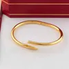 Juste a Clou Nagelarmband Luxus-Schmuckset Auger Lovers Männer und Frauen 16 19 cm Gold Rose Silber Kategorie233d7366903