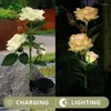 Solar -LED -Blumenlichter im Freien wasserdichte Gartenlandschaft Lampe intelligente Lichtsteuerung Rosenheim Dekorative