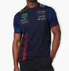 F1 Fórmula 1 Motorsport Camisa Verão Nova Camisa Polo de Manga Curta Personalizada