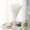 Flores decorativas 15 PCs Diy Arranjo de Flor de Reed Flor Diy Grasa Casamento Europeu de Decoração em Casa Moderna