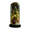 Juldekorationer LED Glass Dome Tree Display Base Fairy String Light Home Decor Bedroom Desk Night For Gift