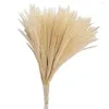 Decorative Flowers 1 Bouquet Excellent Reed No Wilting Lightweight Dried Flower Beautiful