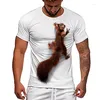 Men's T Shirts 3d Printing T-shirt Men And Women Animals Cute Squirrel Face Fashion Street Sports Breathable Fitness Short Sleeves