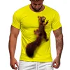 Men's T Shirts Squirrel Shirt 3D Print Animal Graphic Tees Lovely Pattern Tops Men/Women Cute Face Tee Funny Pet T-shirt