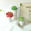 Flores Decorativas Cactus Verde Toque Real Planta Artificial Plantas Suculentas 14 CM DIY Hogar Jardín Fiesta Decoración De La Pared Accesorios De Pografía