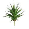 Flores decorativas Gift Micro Landscape Office El Decoração de Planta de Planta De Parede Suculenta Artificial Gladiolus Bonsai Faux Aloe